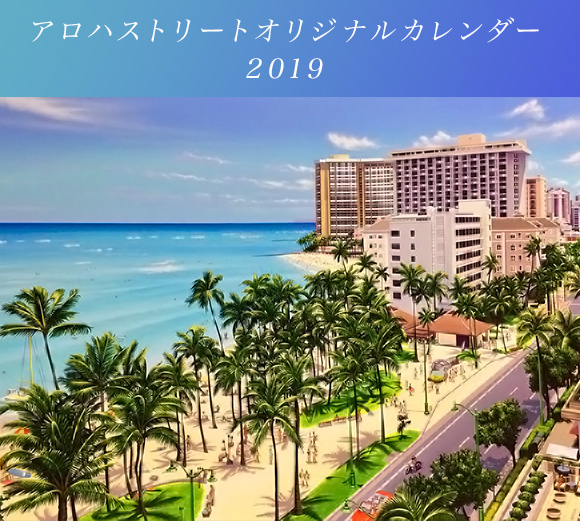 HAWAII LIFESTYLE DIALY